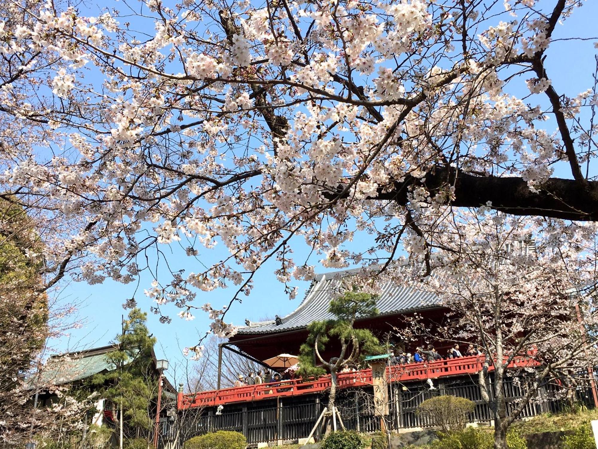 Hotel Mystays Ueno East — Photos 2